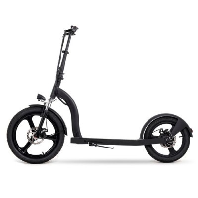 D YOUIN SCOOTER ELECTRIC 2XL RUEDA 20 16