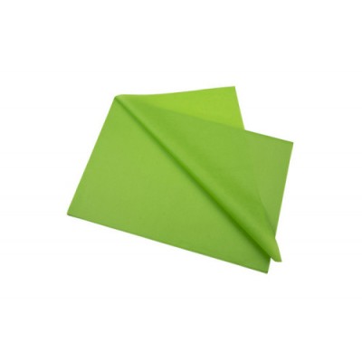 BOLSA 25 HOJAS 1 HOJA GRATIS PAPEL SEDA FSC 18G 50 X 75 CM VERDE SADIPAL S0718114