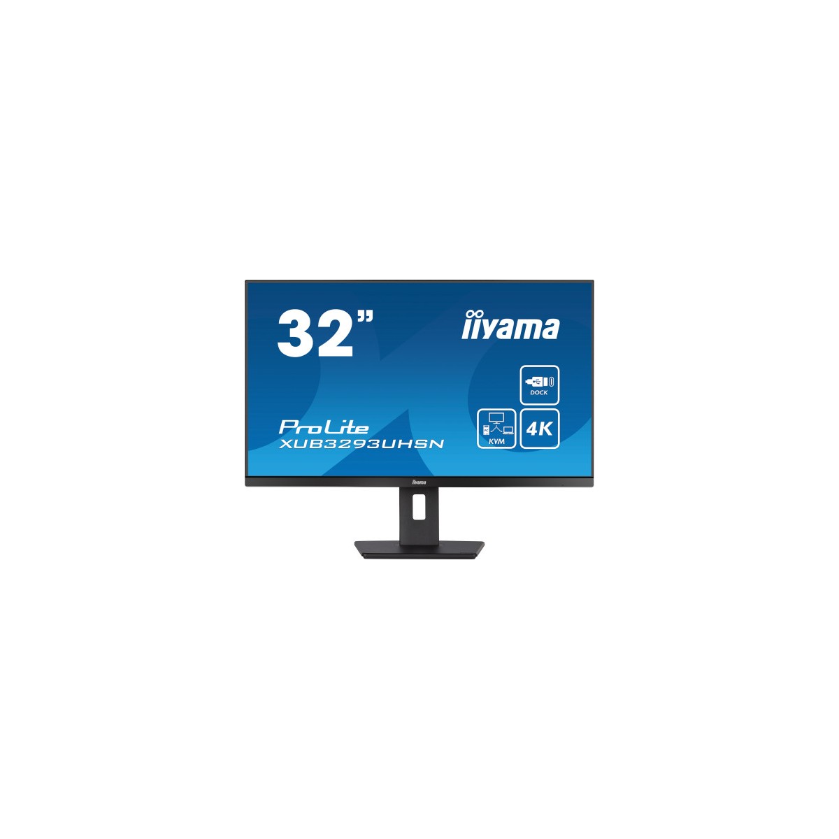 iiyama ProLite XUB3293UHSN B5 pantalla para PC 80 cm 315 3840 x 2160 Pixeles 4K Ultra HD LCD Negro